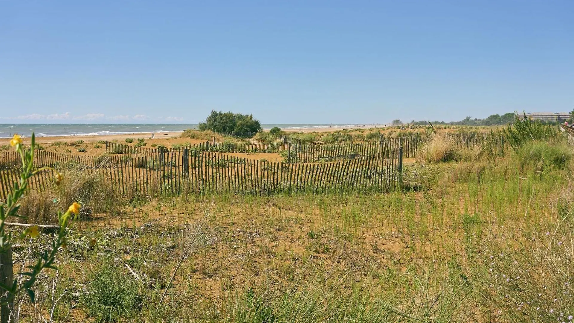 Bright Apartment Steps From The Sea Bibione 0*,